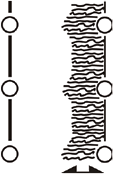 cultivating-width.png