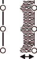 Agrofer UNIVERSAL Power Disk Disking Width.jpg